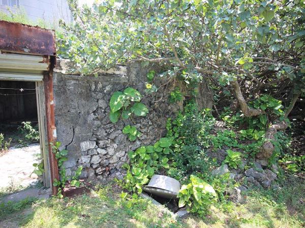 阮氏三合院講美村〇號