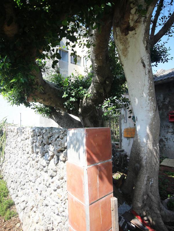 黃登文黃記派古宅