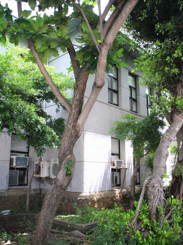 2014澎湖廳舍記錄