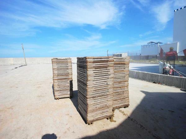 臭肉魚加工嵵裡里漁工新村〇號