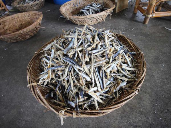 漁工新村臭肉魚加工