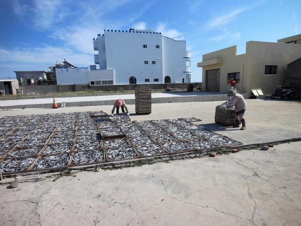 臭肉魚加工嵵裡里漁工新村〇號