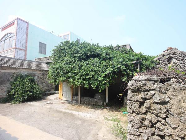 2019辛氏古厝記錄