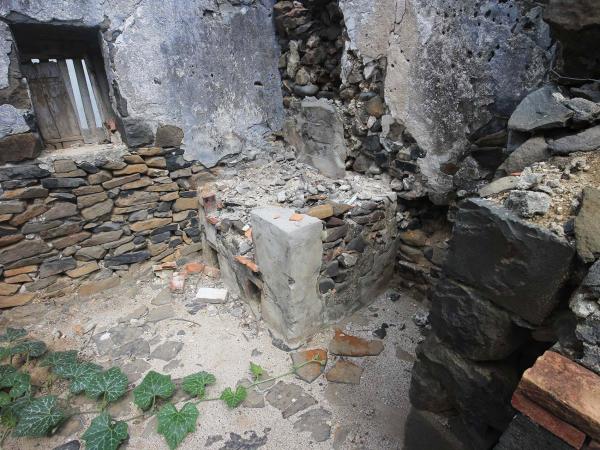 2019德春商店記錄