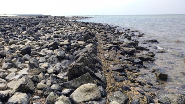 2020後寮碼頭記錄