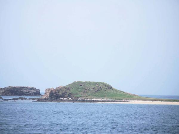 2019金瓜仔礁記錄