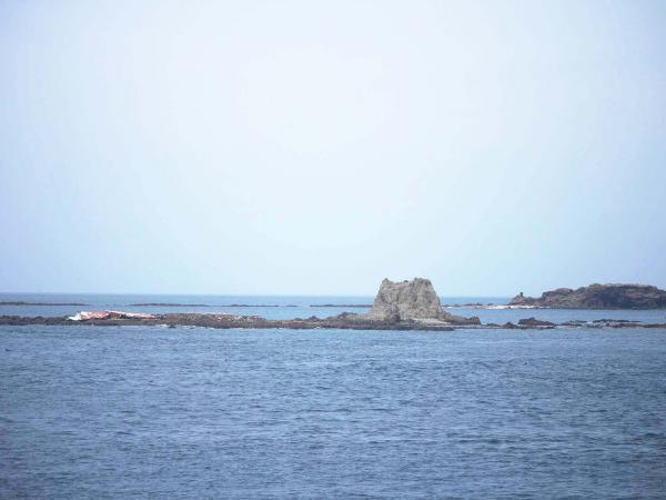 2019金瓜仔礁記錄