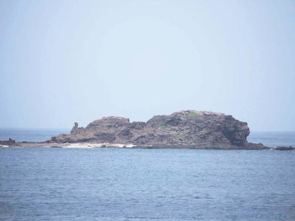 2019金瓜仔礁記錄