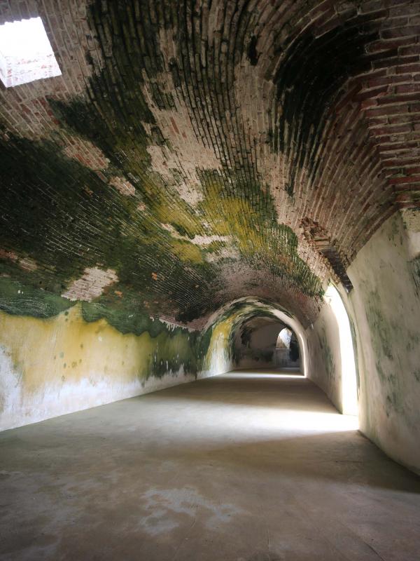 2019西嶼東臺記錄