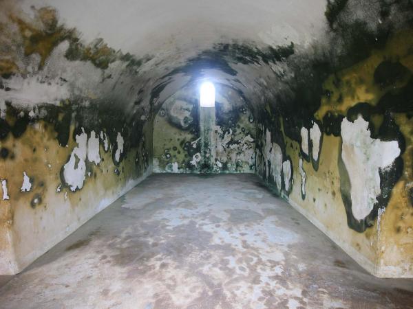 2019西嶼東臺記錄