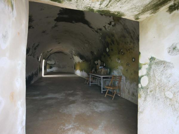 2019西嶼東臺記錄