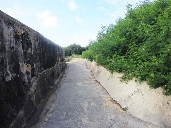 2019西嶼西臺記錄