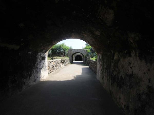 2019西嶼西臺記錄