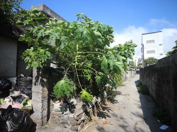稅務局舊宿舍勵志二村