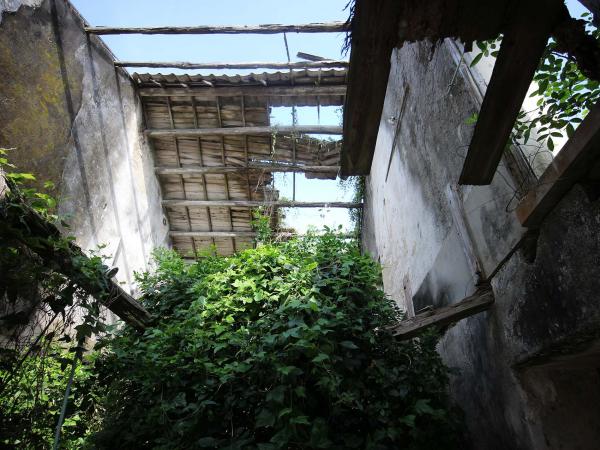 大案山古厝記錄53-1號