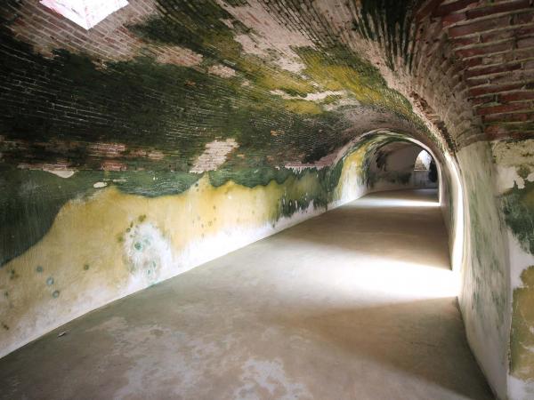 2019西嶼東臺記錄