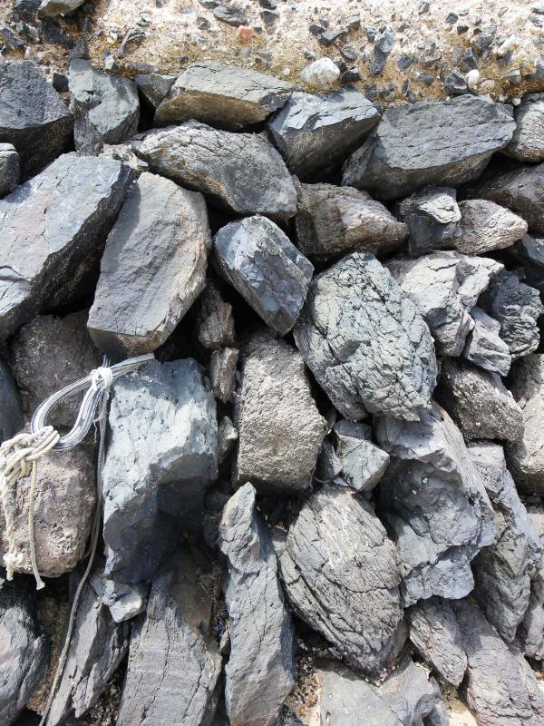 2019水垵漁港記錄