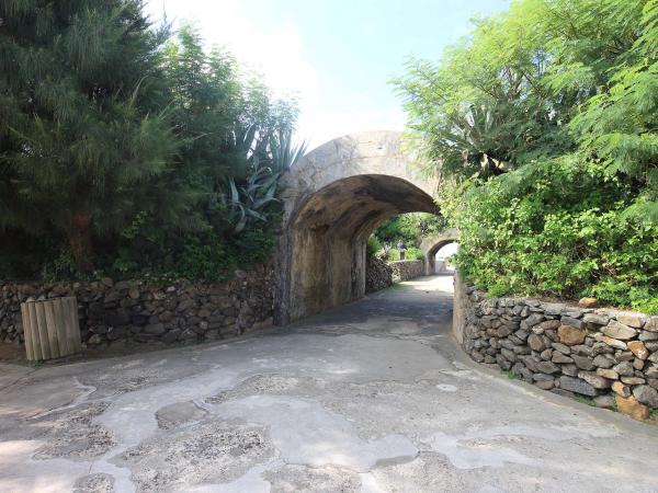 2019西嶼西臺記錄