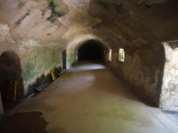 2019西嶼西臺記錄