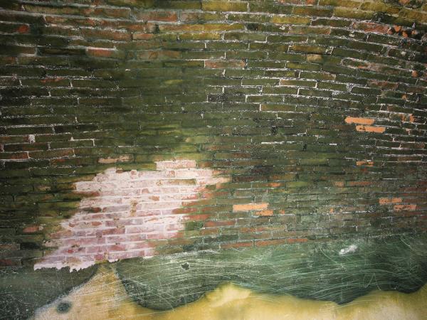 2019西嶼東臺記錄