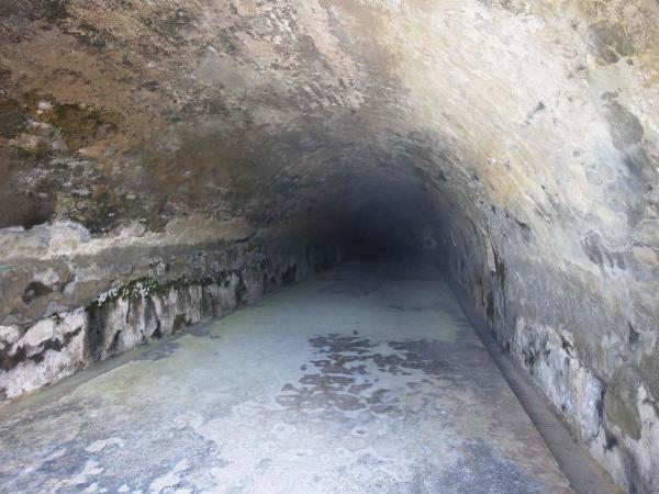 2019西嶼西臺記錄