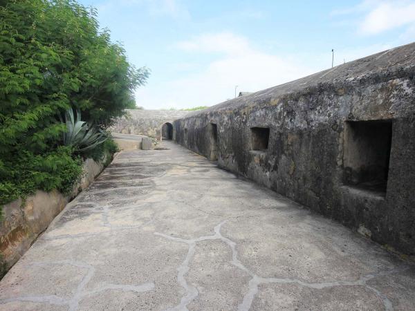 2019西嶼西臺記錄