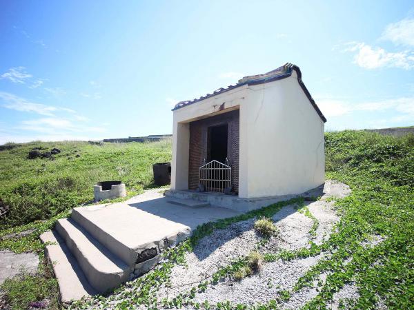 2019蔡府張府大王廟記錄