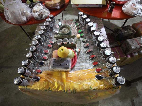 2019赤樊桃殿記錄