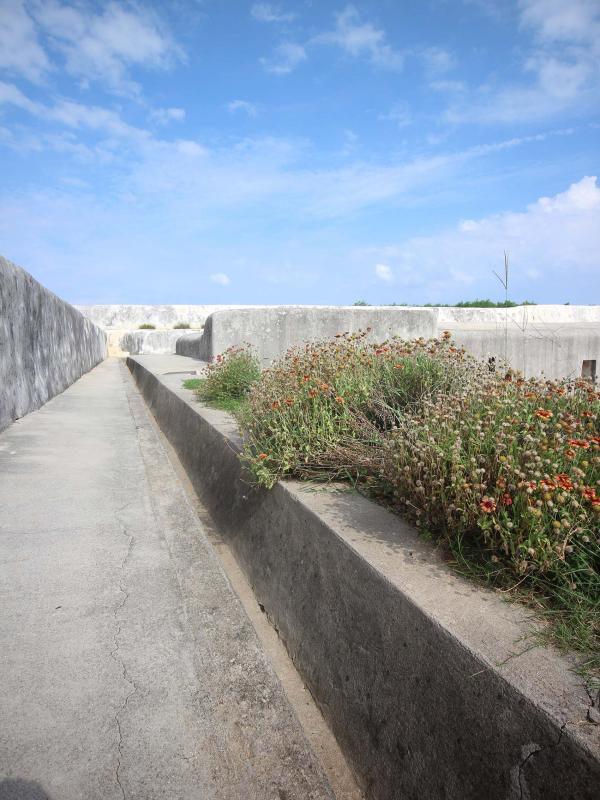 2019西嶼東臺記錄