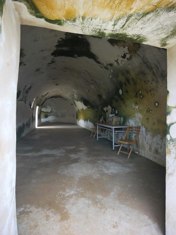 2019西嶼東臺記錄