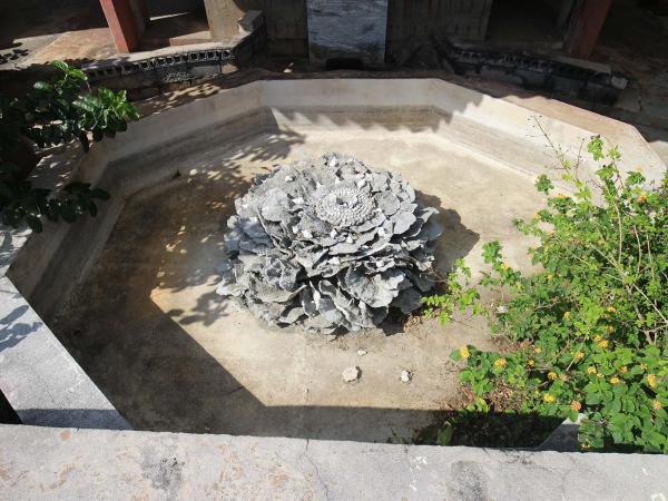 2018觀音寺後花園記錄