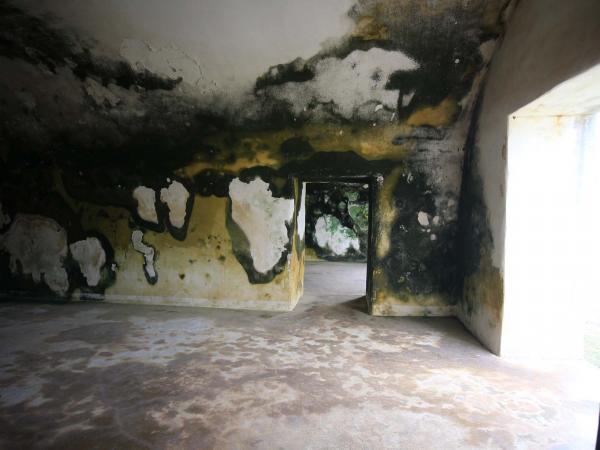 2019西嶼東臺記錄