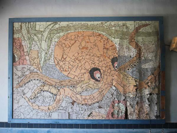 2019中正國小記錄