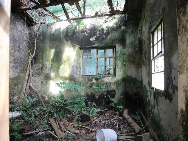 2019清雲家園記錄