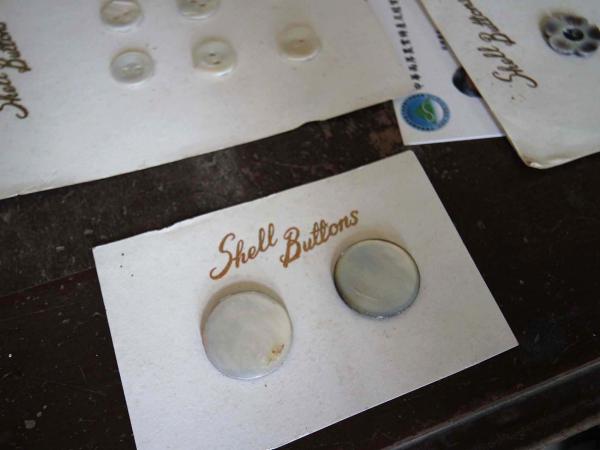 2019朝日貝釦工廠記錄