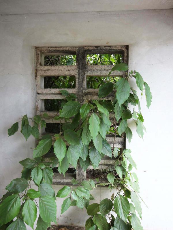 城北村公車亭（圓通寺站）