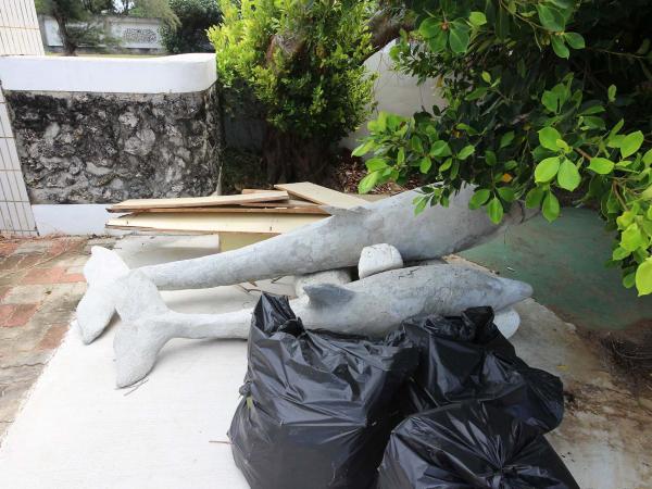 2019沙港國小記錄