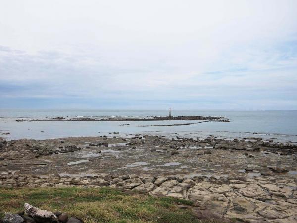 2019路路半洋記錄