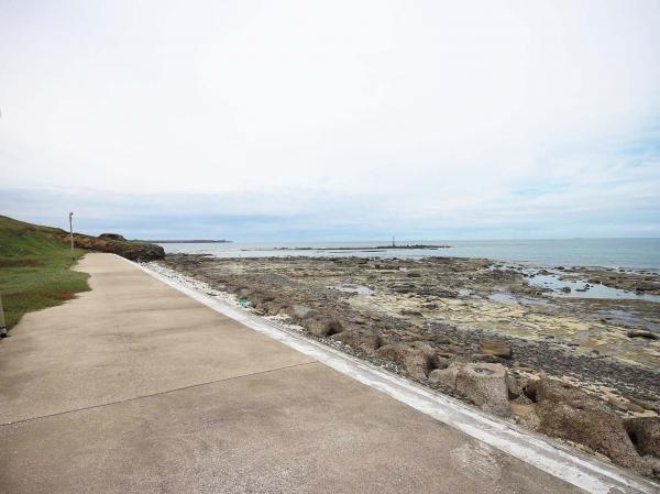 2019路路半洋記錄