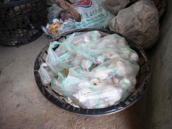 2019朝日貝釦工廠記錄