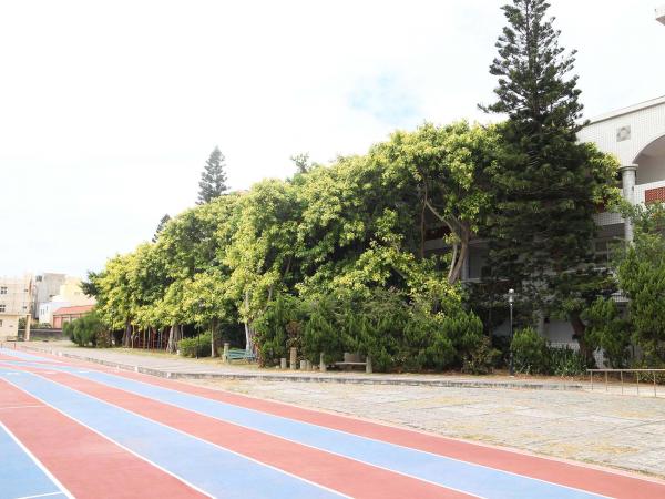 2019湖西國小記錄