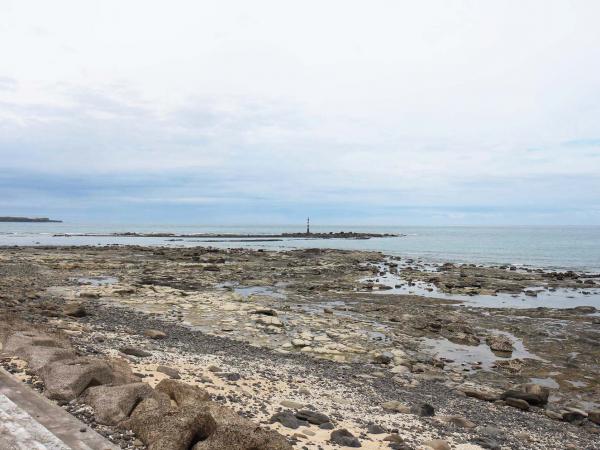 2019路路半洋記錄