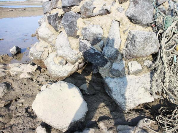 2019紅羅村塔記錄