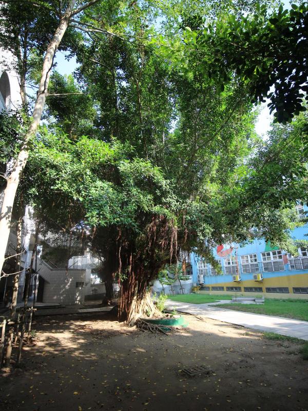 2019馬公國小記錄