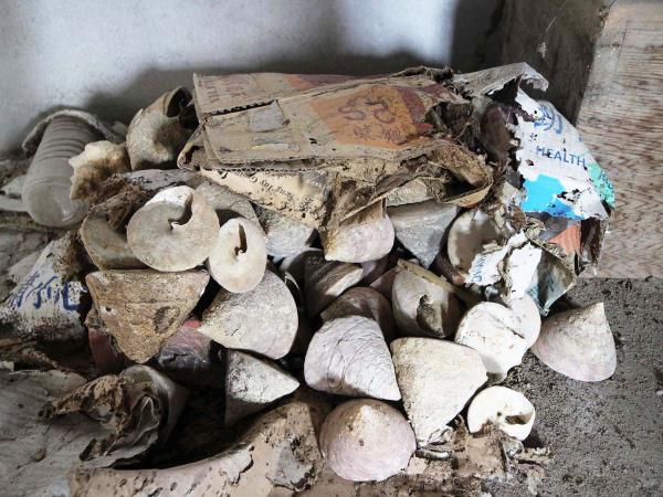 2019朝日貝釦工廠記錄