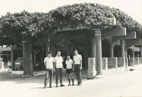 通梁古榕黑白影像記錄