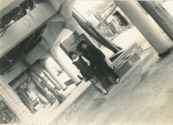 通梁古榕黑白影像記錄