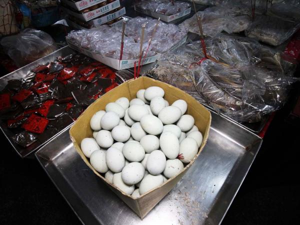 2019重光店仔口囝仔普