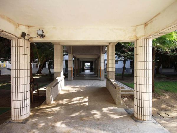 2019馬公國小記錄