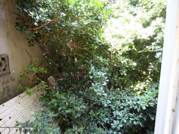 湖西村楊氏古厝（時措咸宜）